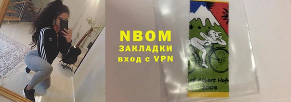шишки Алзамай