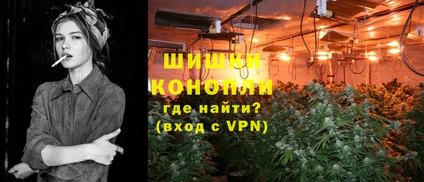 шишки Алзамай