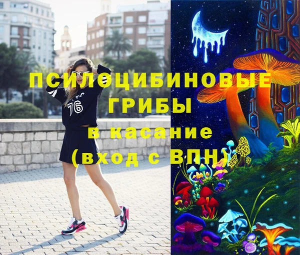 шишки Алзамай