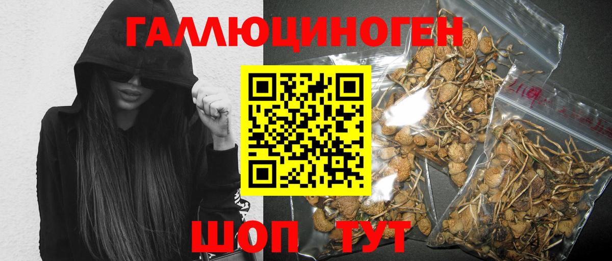 Волжский  Галлюциногенные грибы Magic Shrooms  Вход с VPN 