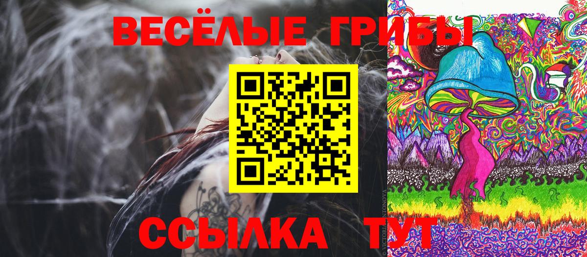 Псилоцибиновые грибы мухоморы Волжский