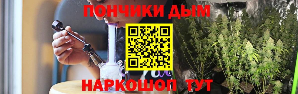 Бошки Шишки семена Волжский
